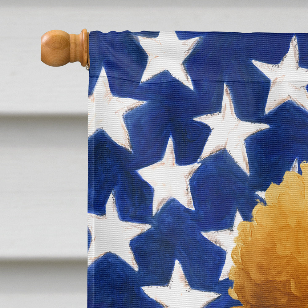 Apricot Standard Poodle American Flag House Flag