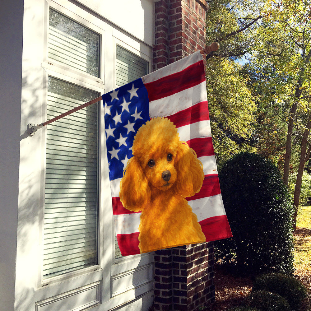 Apricot Toy Poodle American Flag House Flag