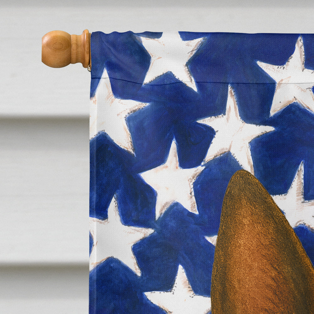 Mahogany Belgian Malinois American Flag House Flag