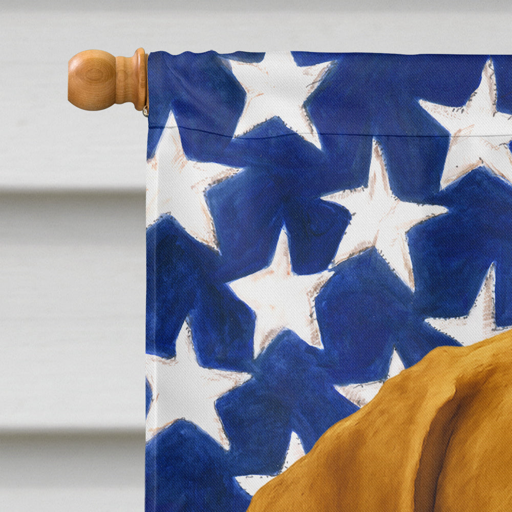 Deadgrass Chesapeake Bay Retriever American Flag House Flag